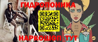 соль ск Будённовск