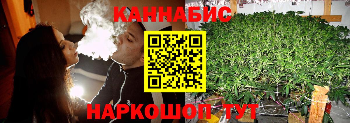 Бошки марихуана марихуана Реж